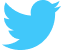 Twitter Icon